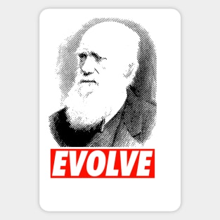 Evolve Sticker